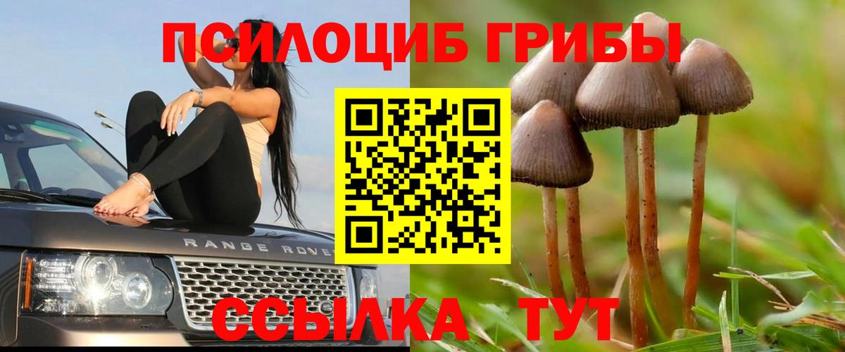 Псилоцибиновые грибы Psilocybine cubensis  Галлюциногенные грибы Psilocybine cubensis  Минеральные Воды  Вход с VPN 