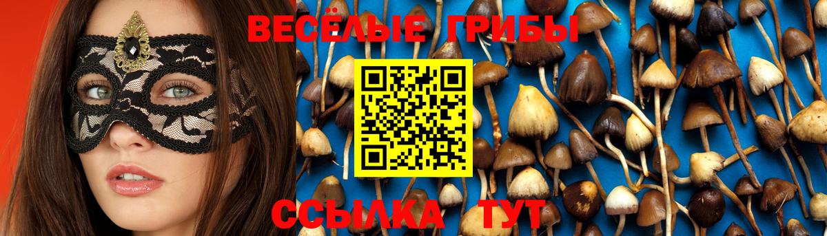 Галлюциногенные грибы MAGIC MUSHROOMS Минеральные Воды