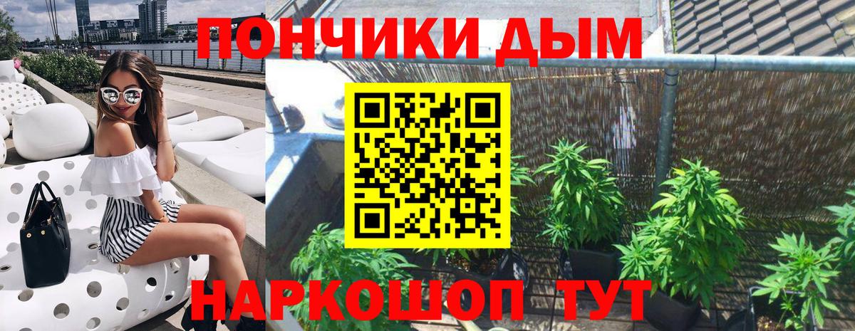 Марихуана марихуана  Бошки марихуана MAZAR  Минеральные Воды  Бошки Шишки ГИДРОПОН  Вход с VPN  МАРИХУАНА SATIVA & INDICA 